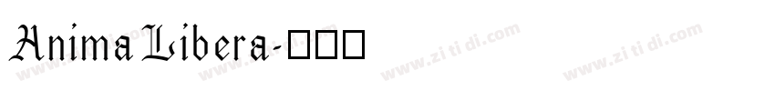 Anima Libera字体转换 Anima Libera字体转换